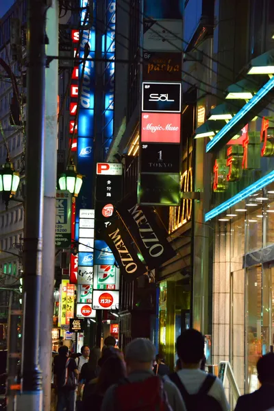 DSC_3999 (Large).JPG